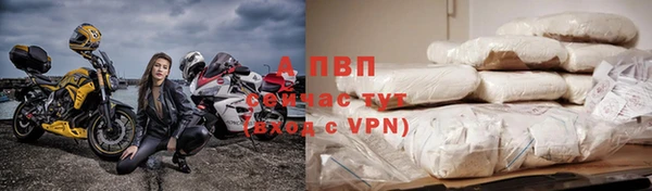 ПСИЛОЦИБИНОВЫЕ ГРИБЫ Няндома