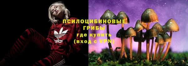 ПСИЛОЦИБИНОВЫЕ ГРИБЫ Няндома