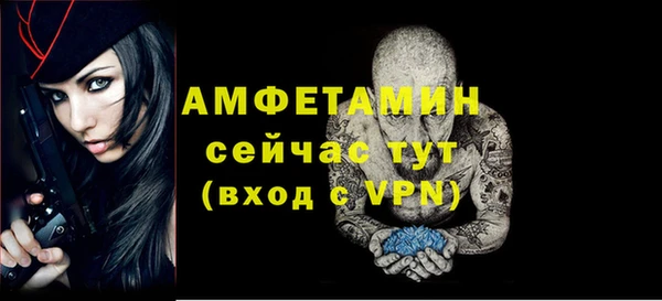 гидра Осинники
