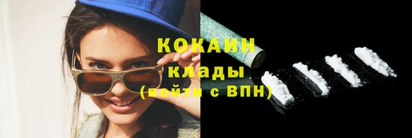 ПСИЛОЦИБИНОВЫЕ ГРИБЫ Няндома