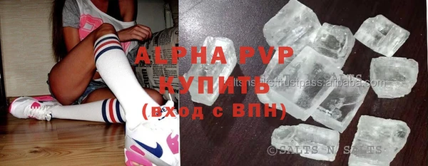 прущие грибы Новодвинск