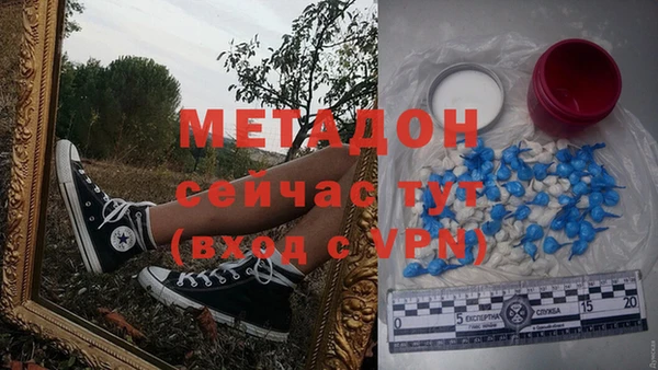 ПСИЛОЦИБИНОВЫЕ ГРИБЫ Няндома