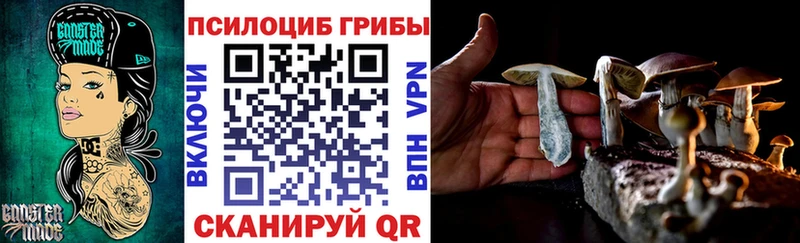 Псилоцибиновые грибы мухоморы Кувшиново