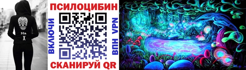 купить наркотики сайты  Кувшиново  Псилоцибиновые грибы мицелий 